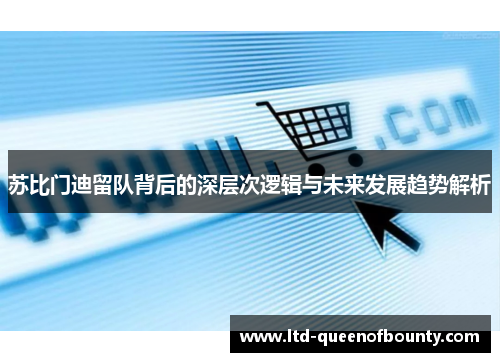 苏比门迪留队背后的深层次逻辑与未来发展趋势解析