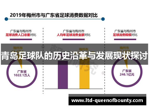 青岛足球队的历史沿革与发展现状探讨