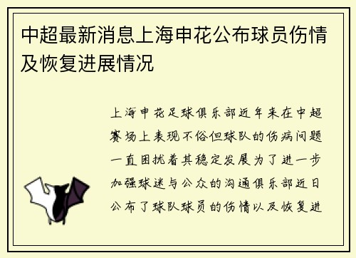 中超最新消息上海申花公布球员伤情及恢复进展情况